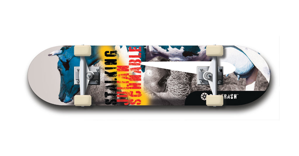 Order Stalking Julian Schnabel #3: BellyRash, Limited Edition, Black Logo Skateboard Deck