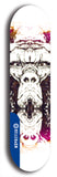 Skateboard deck: Limited edition, North American maple skateboard deck designed by underground artist BellyRash - available widths 7.5 to 8.5 inches in both mellow concave and steep concave shapes. Artwork: SK8PUNX logo brand popsicle-shaped deck