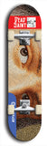 Skateboard deck: Limited edition, North American maple skateboard deck designed by underground artist BellyRash - available widths 7.5 to 8.5 inches in both mellow concave and steep concave shapes. Artwork: DEAD SAINT logo brand popsicle-shaped deck 