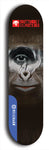 Skateboard deck: Limited edition, North American maple skateboard deck designed by underground artist BellyRash -- available in widths 7.5 to 8.5 inches in both mellow concave and steep concave shapes. Artwork: BUTTUGLY MONSTERS brand popsicle-shaped skateboard deck with monster in background. 