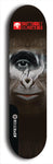 Skateboard deck: Limited edition, North American maple skateboard deck designed by underground artist BellyRash -- available in widths 7.5 to 8.5 inches in both mellow concave and steep concave shapes. Artwork: BUTTUGLY MONSTERS brand popsicle-shaped skateboard deck with monster in background. 