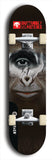 Skateboard deck: Limited edition, North American maple skateboard deck designed by underground artist BellyRash -- available in widths 7.5 to 8.5 inches in both mellow concave and steep concave shapes. Artwork: BUTTUGLY MONSTERS brand popsicle-shaped skateboard deck with monster in background. 