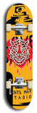 Skateboard deck: Limited edition, North American maple skateboard deck designed by underground artist BellyRash -- available in widths 7.5 to 8.5 inches in both mellow concave and steep concave shapes. Artwork: WARTHOG brand popsicle-shaped skateboard deck with WARTHOG logo broken into multiple colors and shades